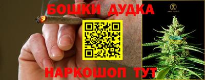 PSILOCYBIN Северобайкальск
