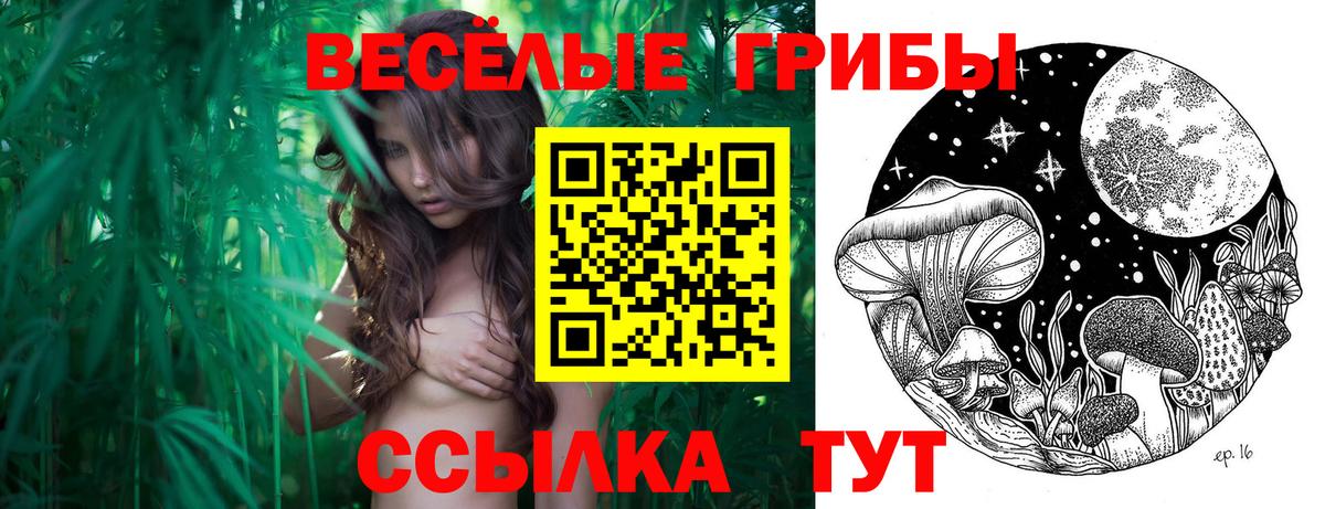 Нефтекумск  Псилоцибиновые грибы ЛСД  Вход с VPN 