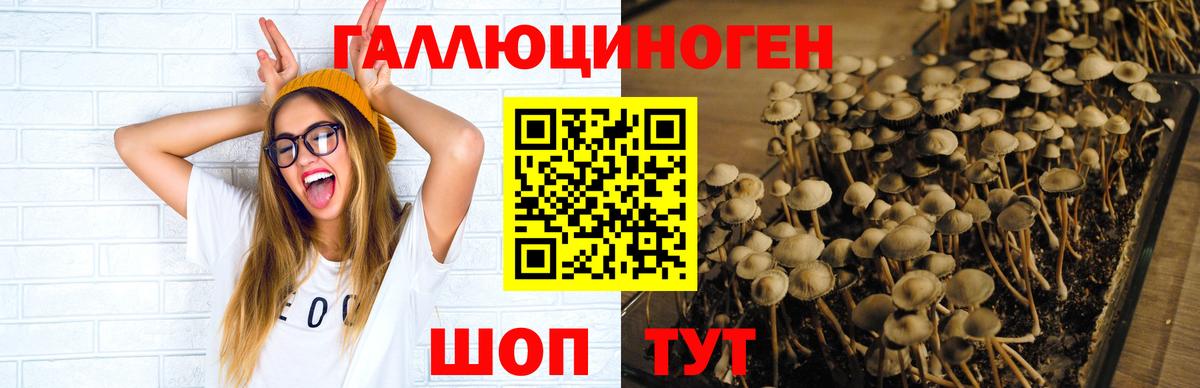 Псилоцибиновые грибы Magic Shrooms Нефтекумск